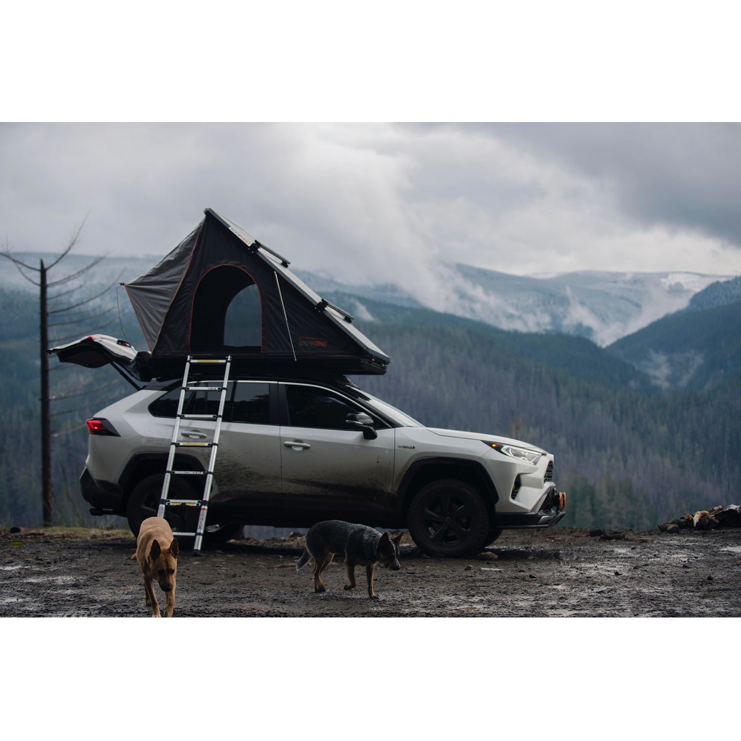 [TOYOTA RAV4 ROOF RACK] 2019-2021 - BIGTENT